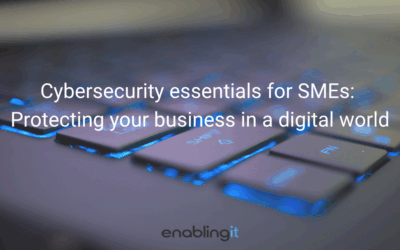 Cybersecurity essentials for SMEs: Protecting your business in a digital world